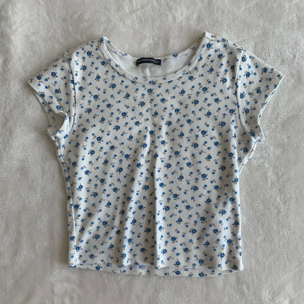 Brandy Melville Floral Crop Top
